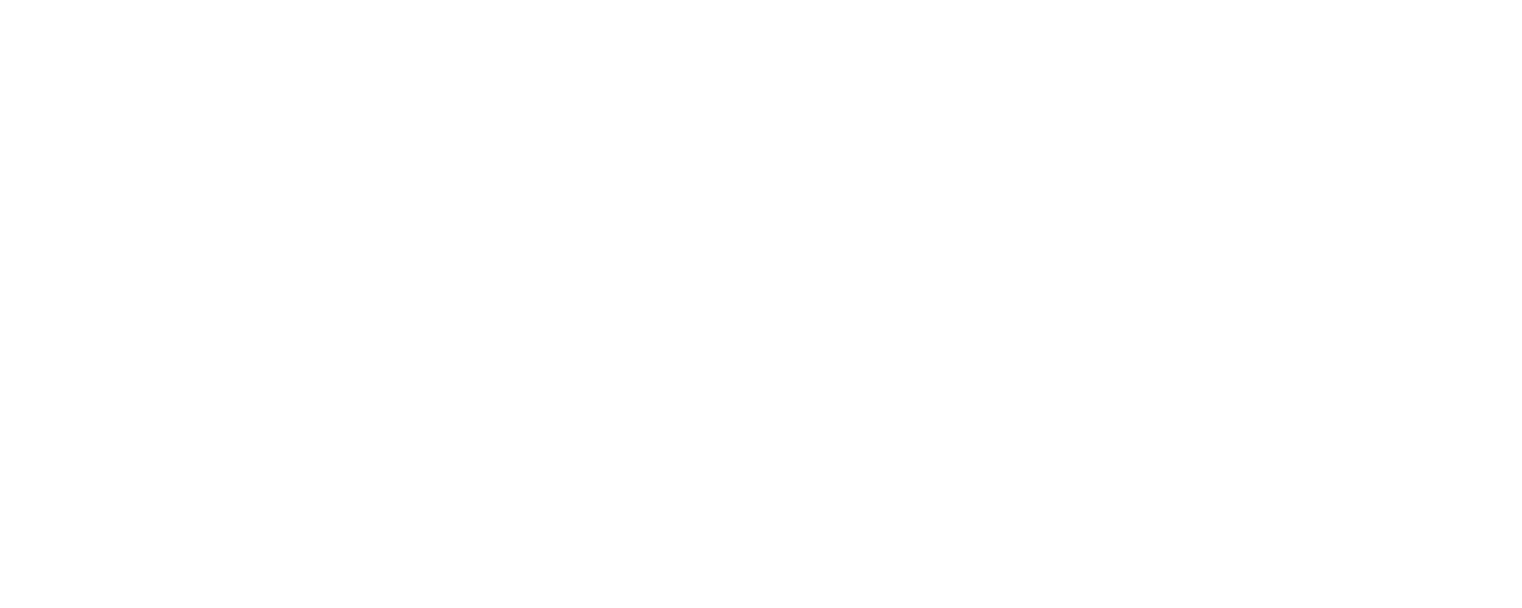 FPT LOGO